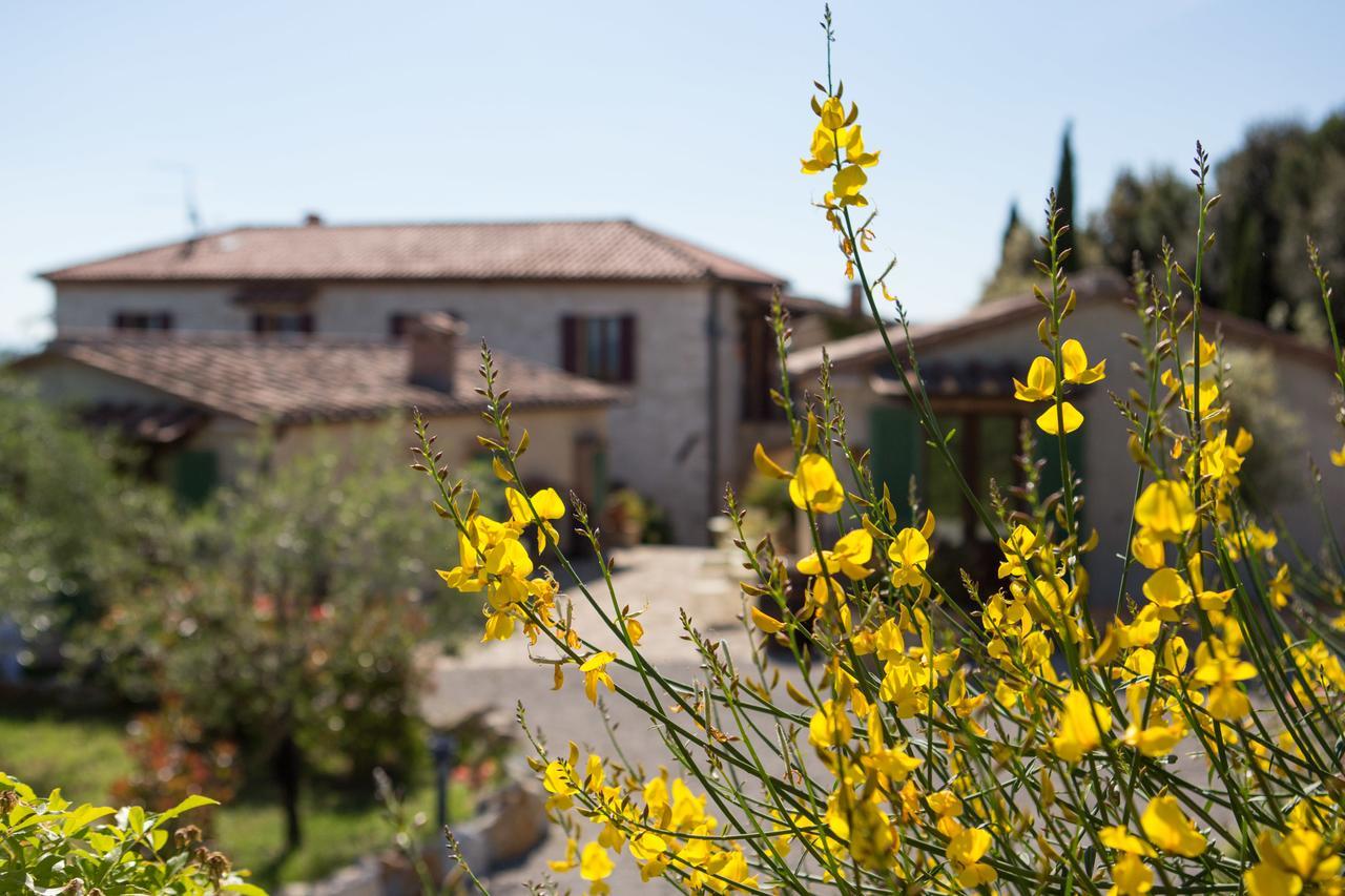 Agriturismo Borghetto Il Montino Rapolano Terme Exterior photo